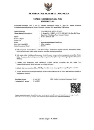 NO INDUK BERUSAHA (NIB)